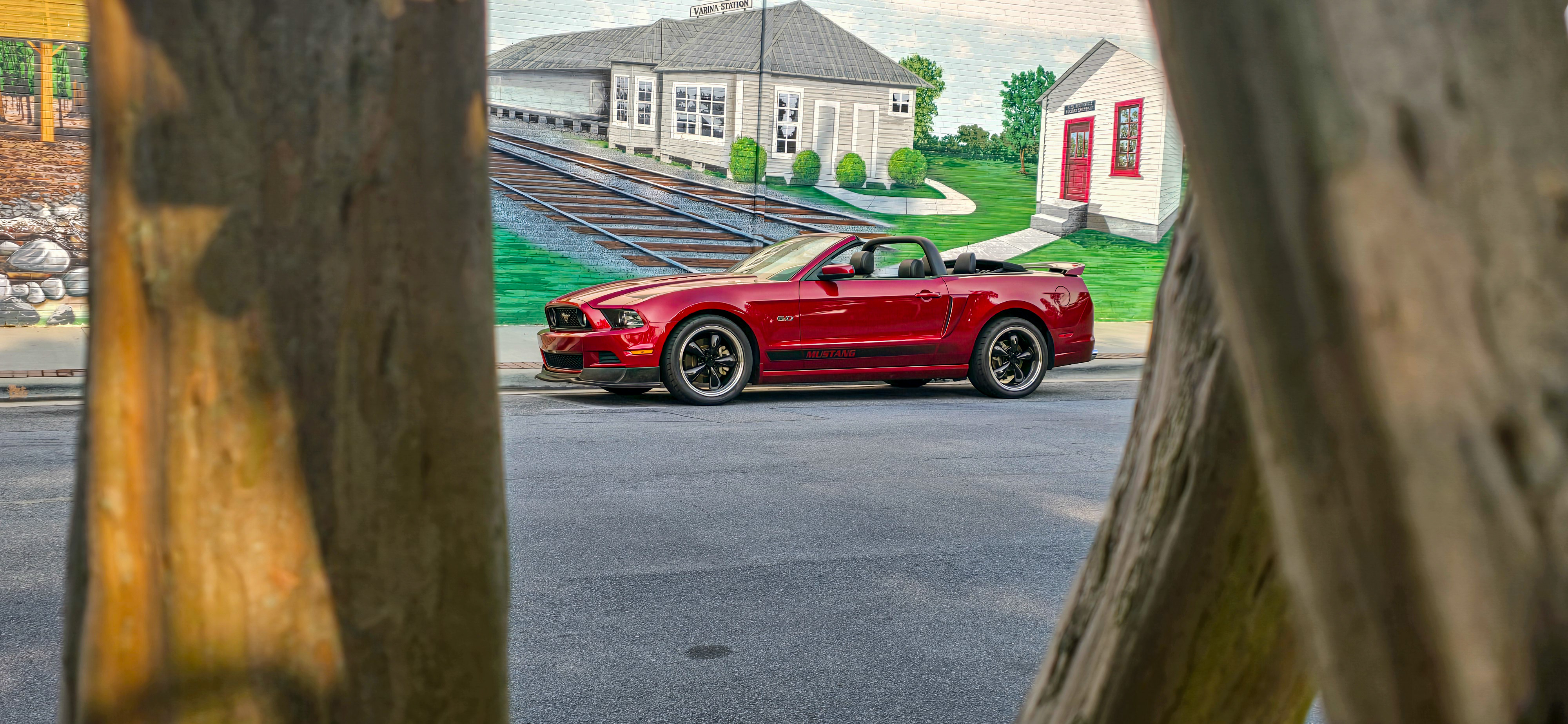 Card Photo header