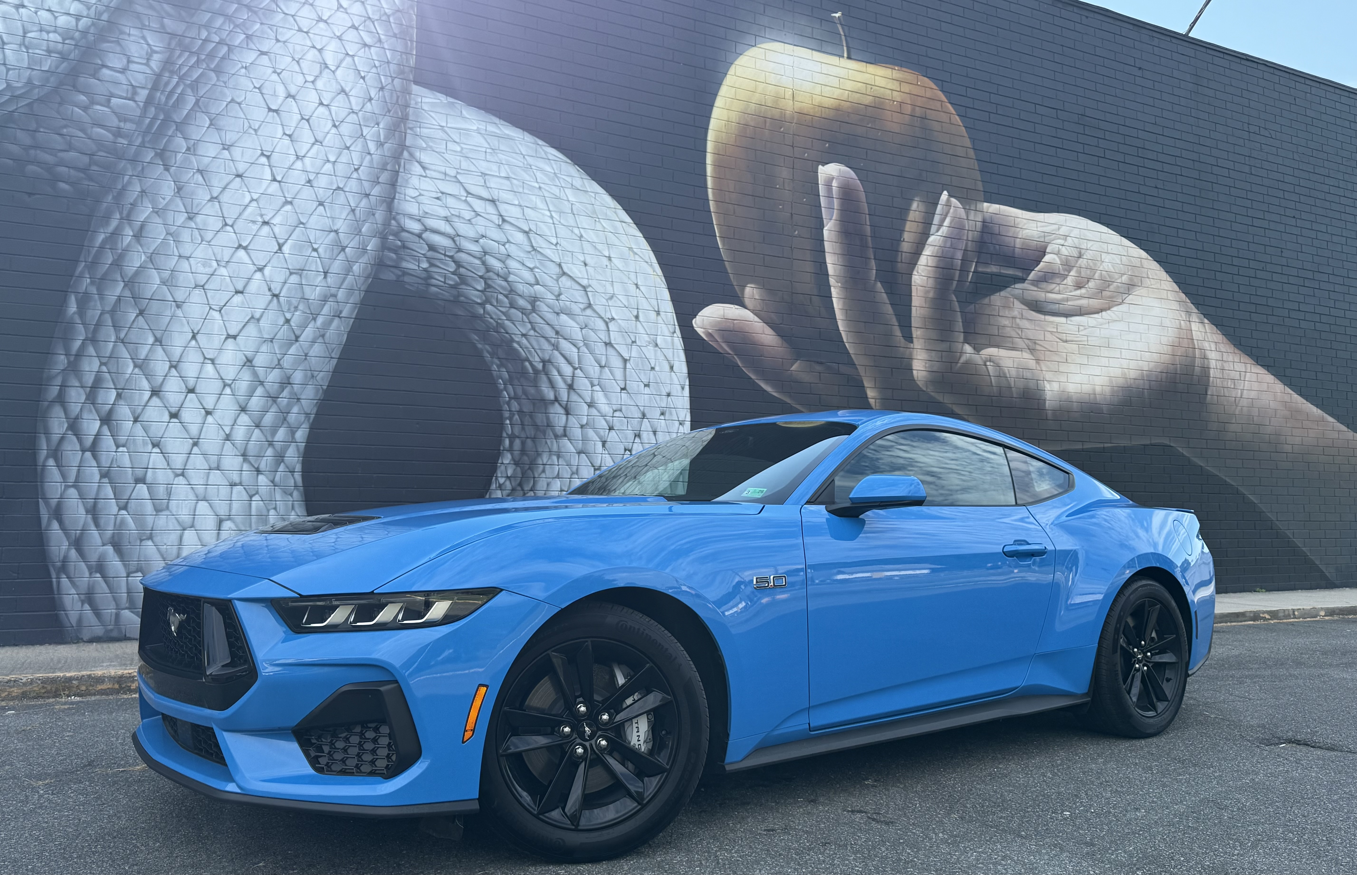 Card Photo header